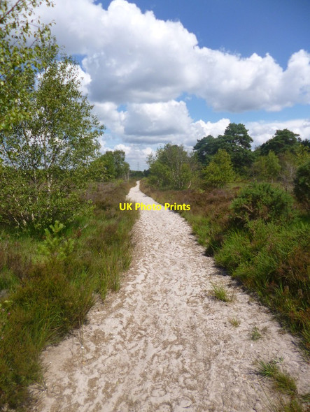Photo 6"x4" Parley Common, bridleway Parley Green c2014