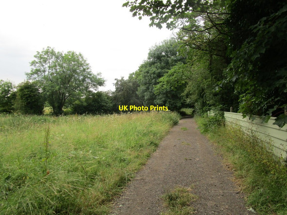 Photo 6"x4" Footpath to the Chesterfield Canal Cotterhill Woods c2014
