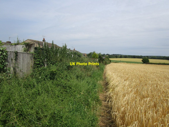 Photo 6"x4" Path behind the houses Woodsetts c2014