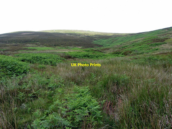 Photo 6"x4" Cheviot from upper valley of Lambden Burn Scald Hill\/NT9221 c2014