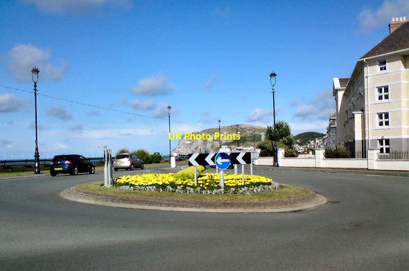 Photo 6"x4" Floral roundabout Llandudno c2014