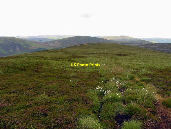 Photo 6"x4" Ridge descending north-east from Cheviot Mid Hill\/NT9021 c2014