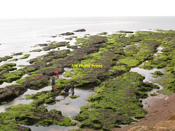 Photo 6"x4" Rockpools belo Langstone Rock  Dawlish c2014