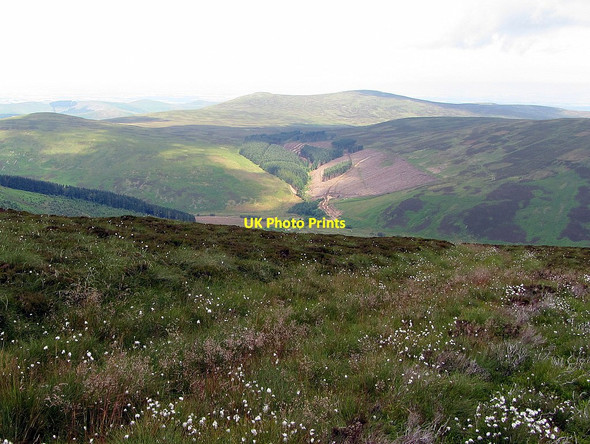 Photo 6"x4" Hillside above Goldscleugh Mid Hill\/NT9021 c2014