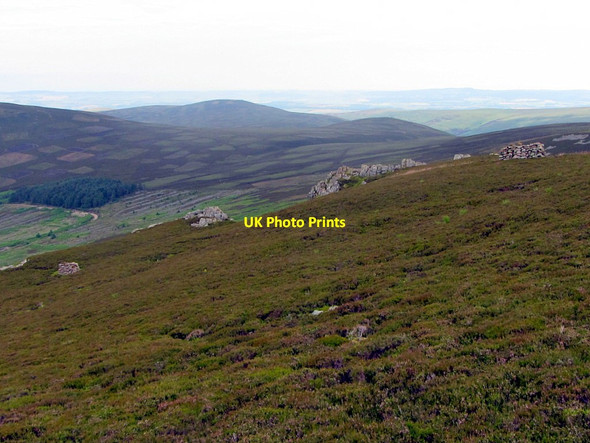 Photo 6"x4" Heather moorland west of Woolhope Crag Preston Hill\/NT9223 c2014