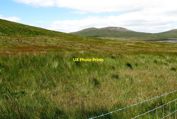 Photo 6"x4" View NNW across the lakeside bog Attical c2013