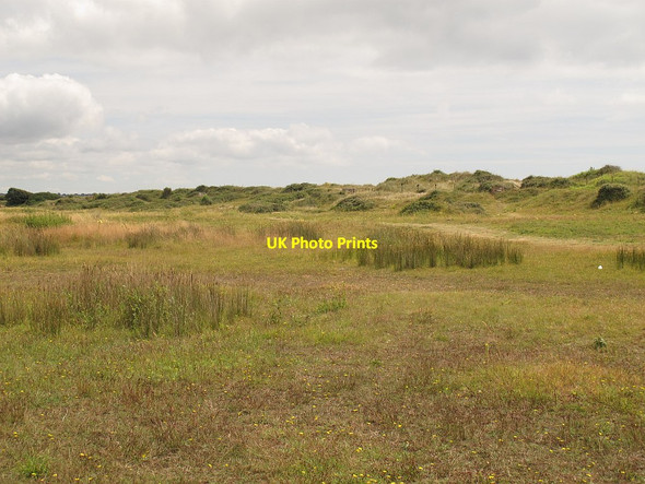 Photo 6"x4" Behind the dunes, Dawlish Warren  Exmouth c2014