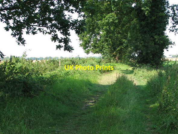 Photo 6"x4" Footpath linking Fritton Road and Market Road Fritton\/TG4018 c2014