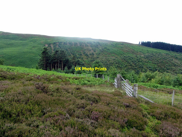 Photo 6"x4" Gateway above Goldscleugh Cheviot Hill c2014