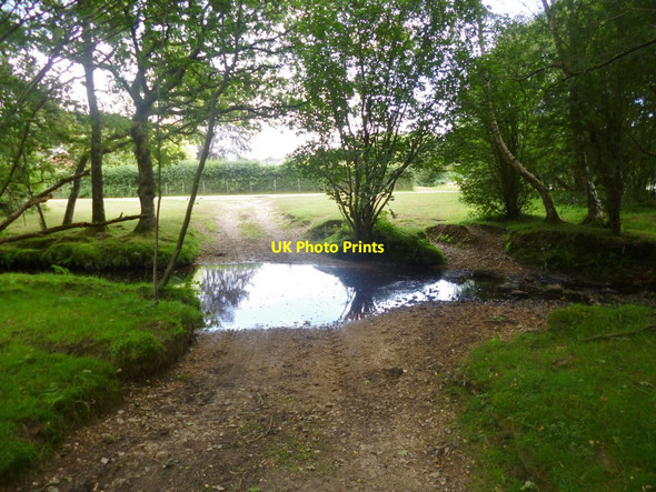 Photo 6"x4" Furze Hill, ford North Gorley c2014