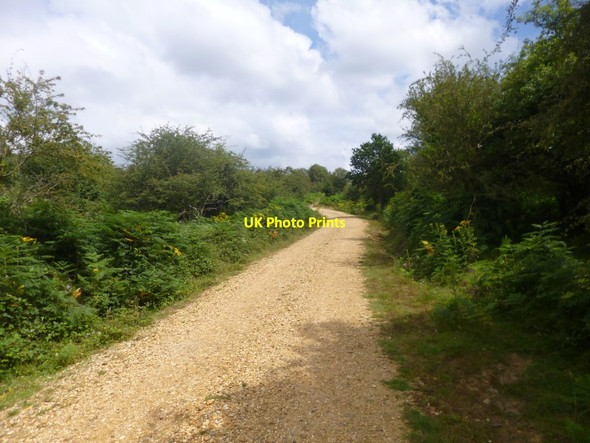 Photo 6"x4" Furze Hill, bridleway Furze Hill\/SU1711 c2014