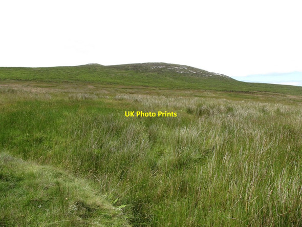 Photo 6"x4" View WNW across the bog towards Cock Mountain Hilltown\/J2128 c2013