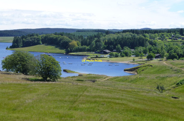 Photo 6"x4" Rough pasture in Kielder Forest Rushy Knowe\/NY6588 c2014