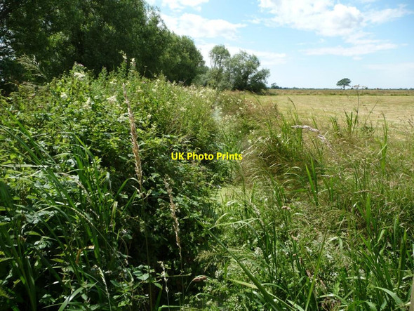 Photo 6"x4" Rhyne [drain] on the north bank of Beer Drove Henley\/ST4332 c2014