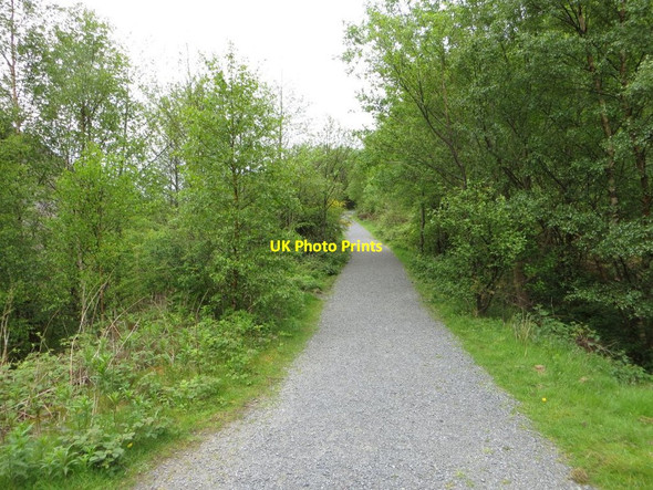 Photo 6"x4" The Trail Elan Village c2014