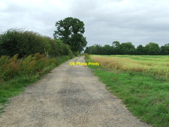 Photo 6"x4" The Angles Way Great Common\/TM3787 c2014