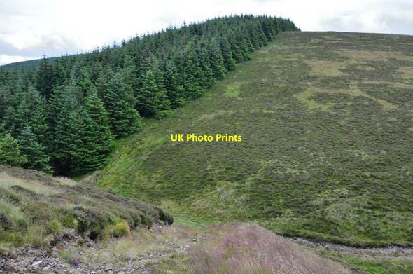 Photo 6"x4" Howgate Nick Eddleston c2014