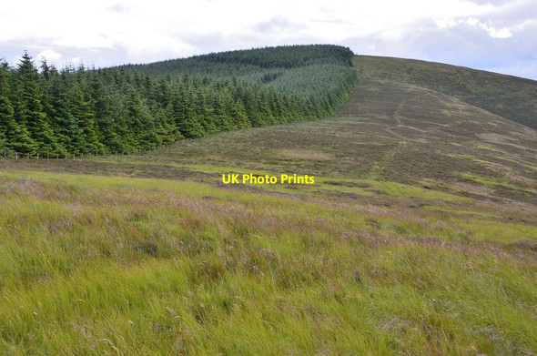 Photo 6"x4" Cardon Law from Longcote Hill Eddleston c2014