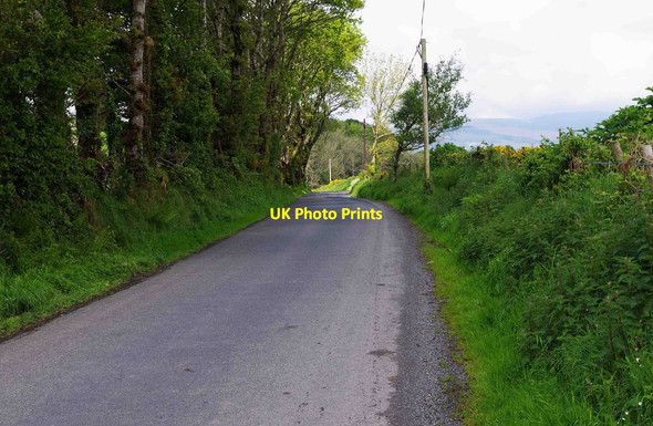 Photo 6"x4" The L5054 road, Knockraheen, Co. Wicklow Roundwood c2014