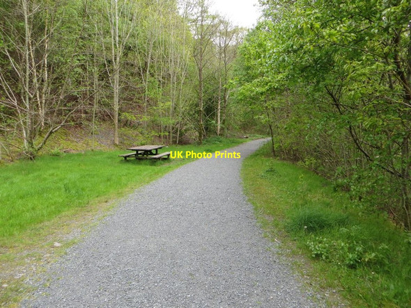 Photo 6"x4" Picnic Bench on the Trail Elan Village c2014