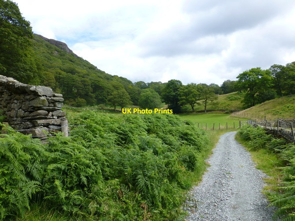 Photo 6"x4" Home Fell from the track to Shepherds Bridge High Water Head c2014