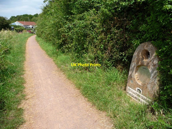 Photo 6"x4" The Earth at Maunsell Locks, Bridgwater & Taunton Canal Hedging c2014