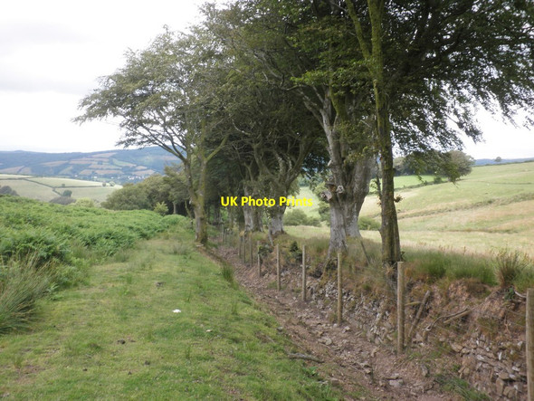 Photo 6"x4" The Coleridge Way, near Spangate Brockwell c2014