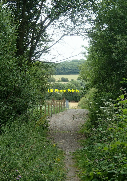 Photo 6"x4" Path by the lake Bramley Vale c2014