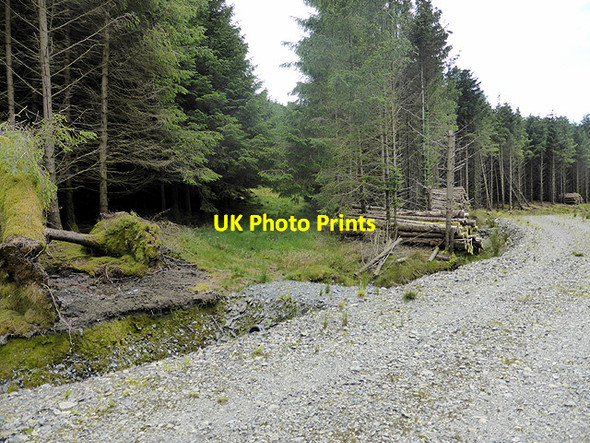 Photo 6"x4" New forestry road Abergynolwyn c2014