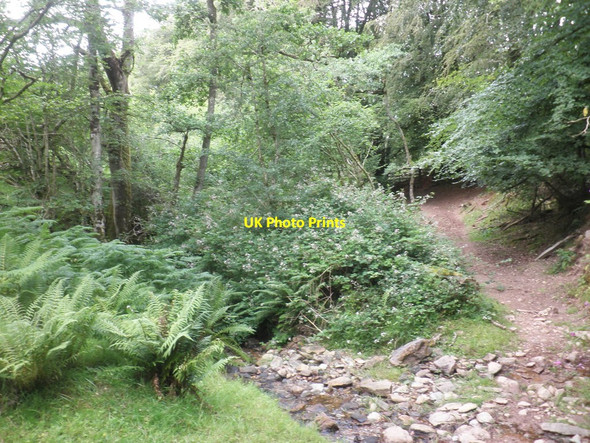 Photo 6"x4" Path junction in Spangate Grove Brockwell c2014