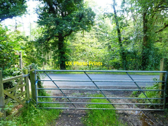 Photo 6"x4" Footpath reaches Cuckfield Road near West Riddens Ansty\/TQ2923 c2014