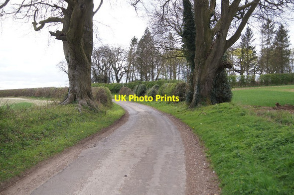 Photo 6"x4" Curves in Hook Lane Upper Wootton c2014