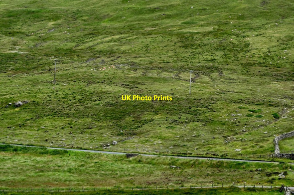 Photo 6"x4" The source of the Bann Attical c2013