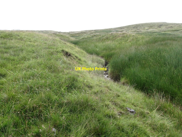 Photo 6"x4" Approaching the head of the stream below Carn Mountain Kilcoo c2013