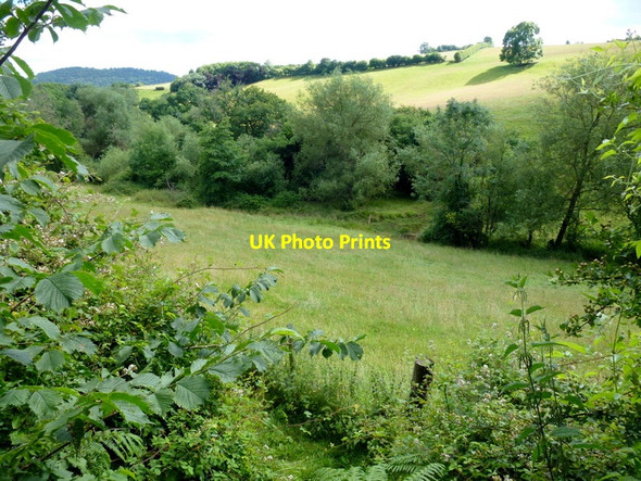 Photo 6"x4" Sunlit valley Llangrove c2014