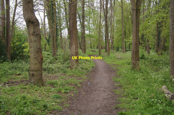 Photo 6"x4" Path skirting Oakridge playing fields Basingstoke c2014