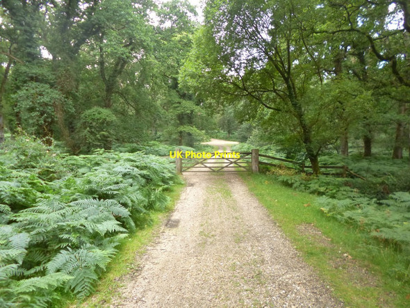 Photo 6"x4" Holly Hatch Inclosure, gate Ogdens c2014