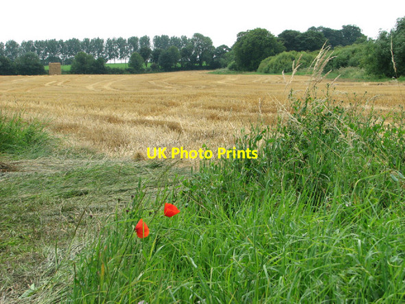 Photo 6"x4" Harvested field by Brandiston Brandiston c2014