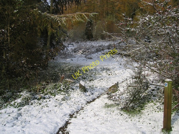 Photo 6"x4" Footpath to Bwlch Pen Barras Tafarn-y-Gelyn c2008