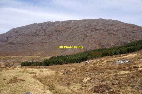 Photo 6"x4" Plantation at Braulen, Glen Strathfarrar Carn an Daimh Bh\u00e0in c2015