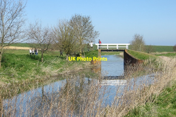 Photo 6"x4" Bridge, Bridgwater Canal Charlton\/ST2926 c2015