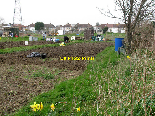 Photo 6"x4" Bexley Allotments Bexley c2015