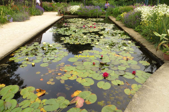 Photo 6"x4" The water lily pond Hidcote Bartrim c2014