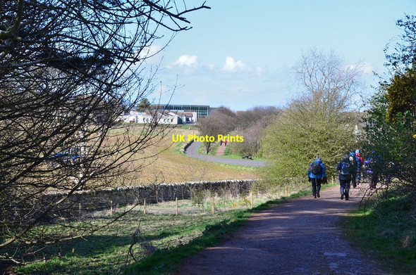 Photo 6"x4" John Muir Way approaching North Berwick North Berwick c2015