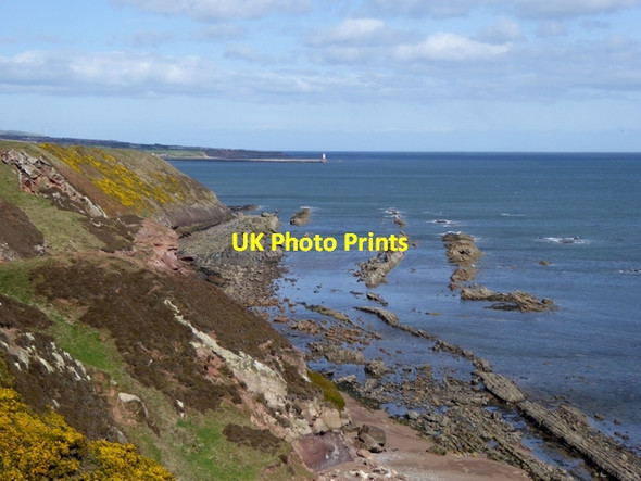 Photo 6"x4" Cliffs and coastal rocks at Scremerston Scremerston c2015