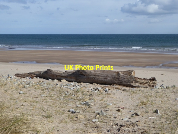 Photo 6"x4" Driftwood on Cocklawburn Beach Cheswick c2015