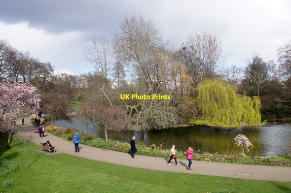 Photo 6"x4" West end of St James's Park, Westminster Westminster c2015