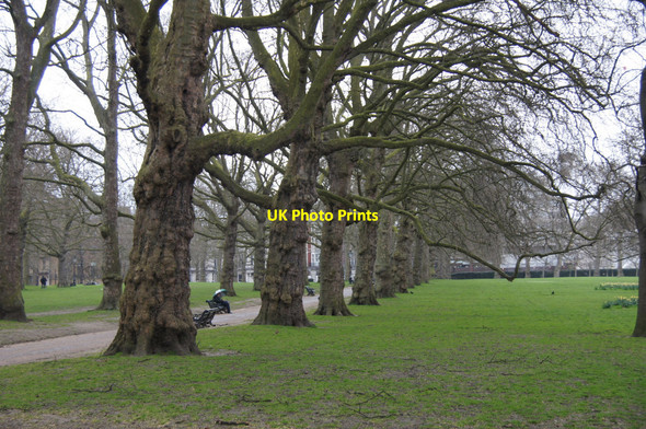 Photo 6"x4" Green Park, Westminster Westminster c2015