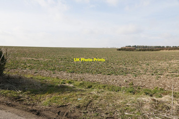 Photo 6"x4" Farmland off Chapel Lane Easton\/SU5132 c2015