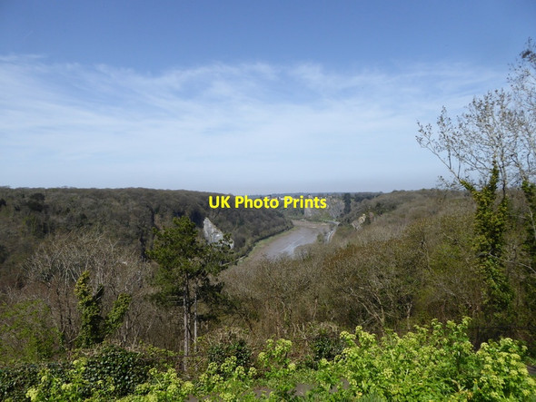 Photo 6"x4" Avon Gorge North of Clifton Suspension Bridge Clifton\/ST5673 c2015